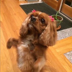 Meet your Posher, Mary